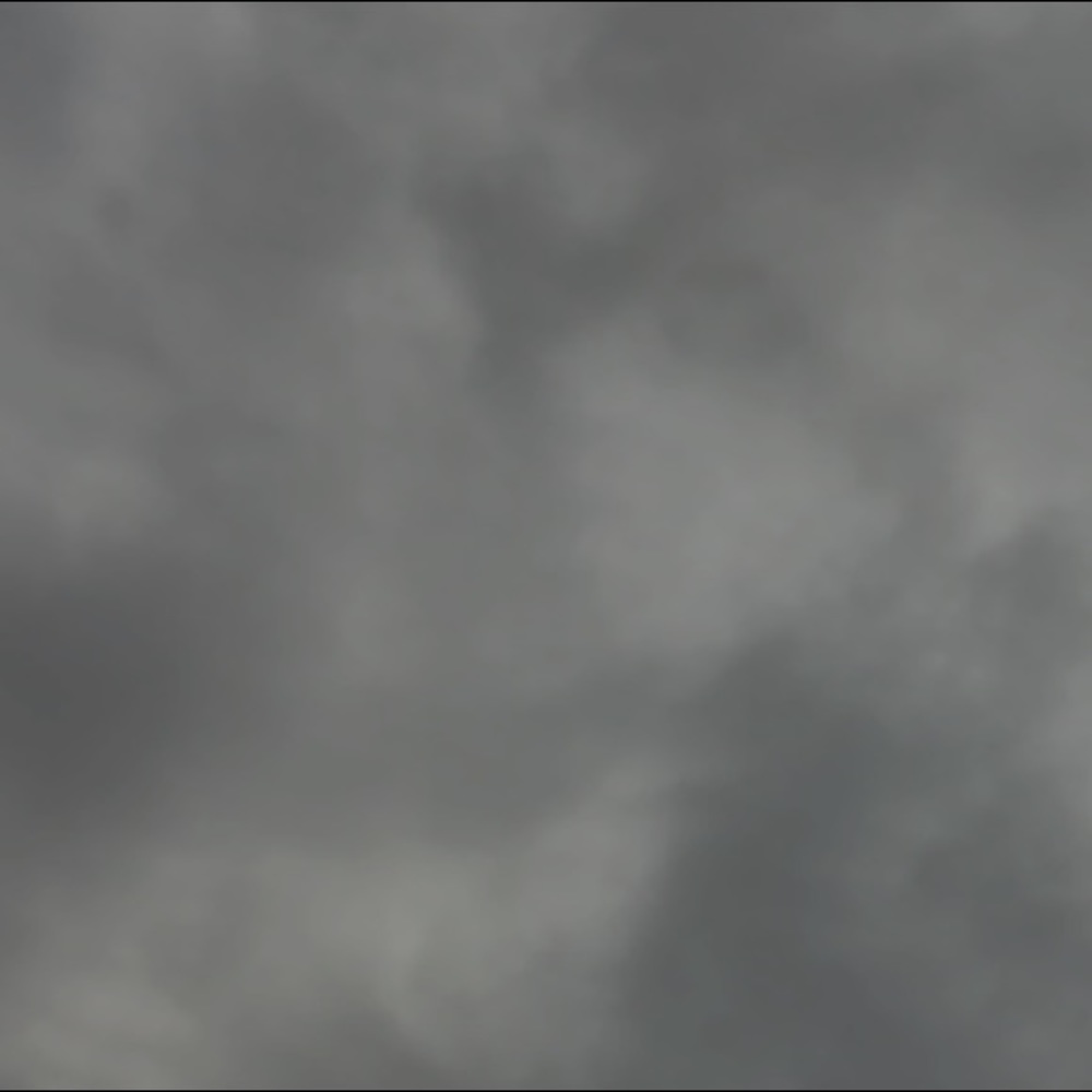 Meet your Posher, Gracie